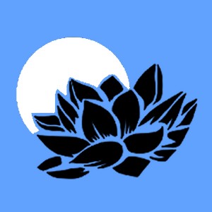 avatar Amyaart - creator